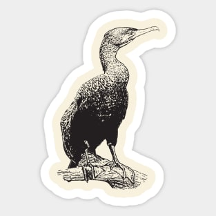 Cormorant Sticker